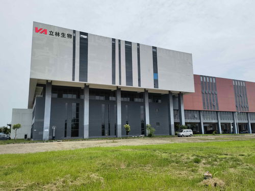 雙品牌戰(zhàn)略驅(qū)動，雙廠布局夯實根基 蓋夫內(nèi)外貿(mào)并舉，技術(shù)開發(fā)引領(lǐng)全球化新篇章
