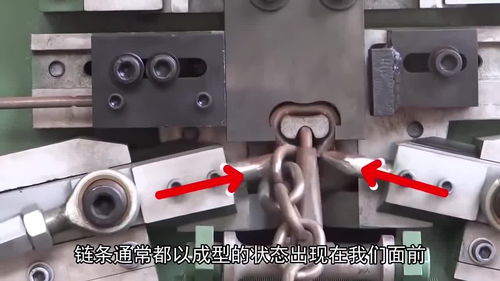 五種日常用品的自動(dòng)化生產(chǎn)之旅 從全自動(dòng)剝皮雞蛋看如何解放雙手